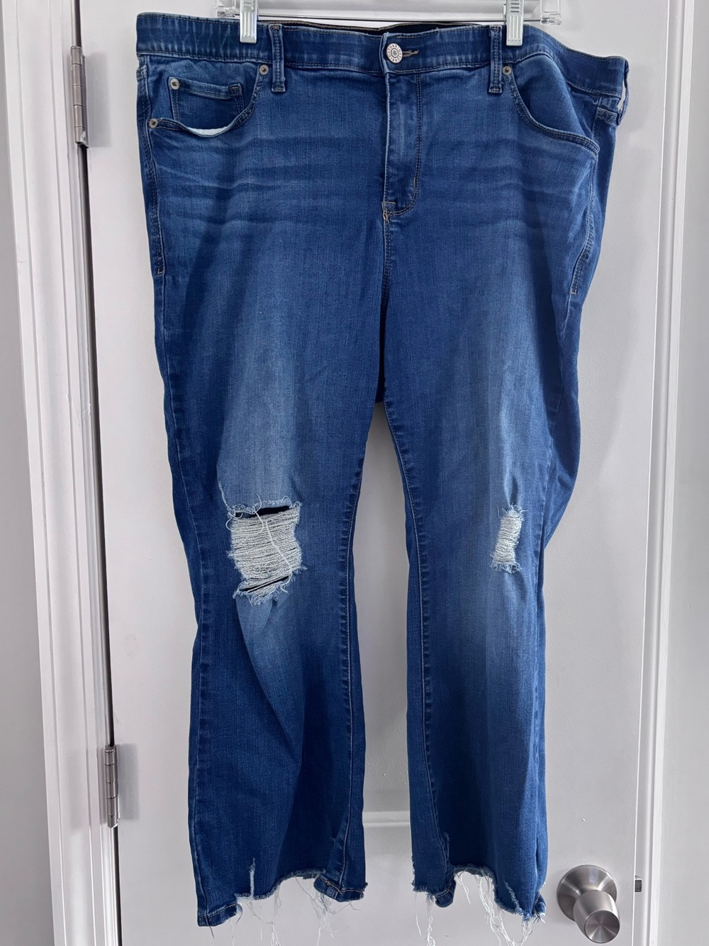 Torrid Jeans